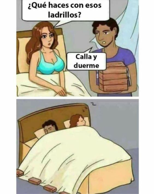 ¿Qué haces con esos ladrillos?
