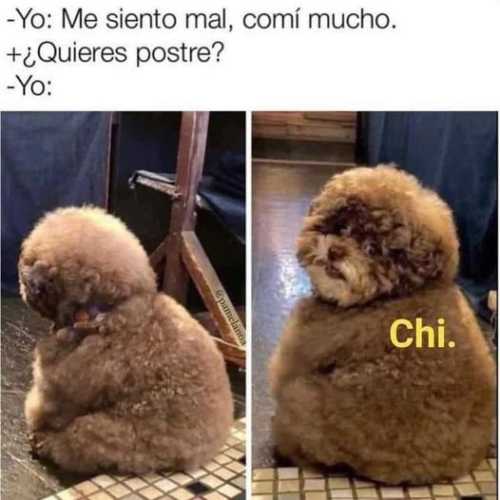 Me siento mal comí mucho