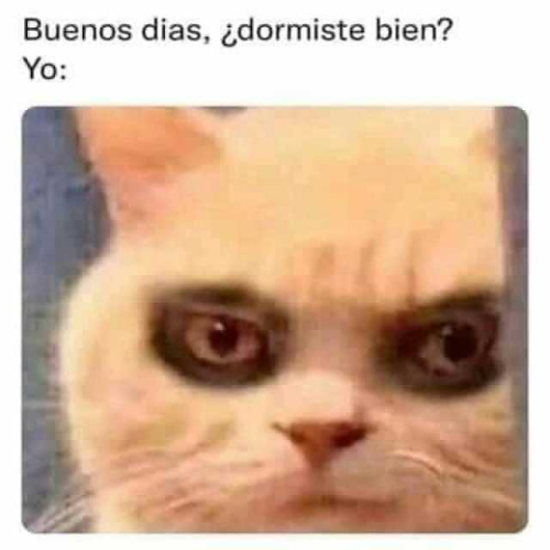 Buenos días, dormiste bien? Yo: