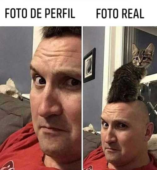 Su foto de perfil