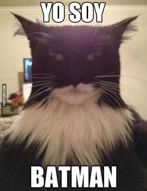 Yo soy Batman