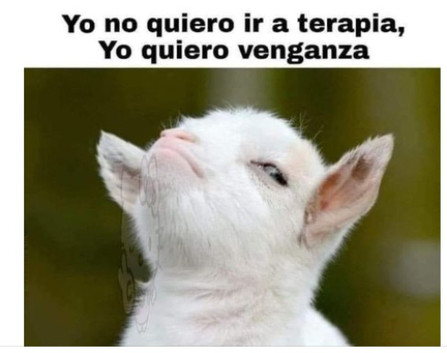 Yo no quiero ir a terapia quiero venganza