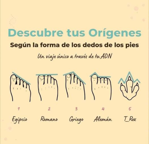 Descubre tus orígenes según la forma de los dedos de los pies