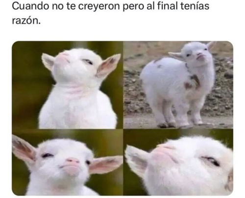 Cuando no te creyeron pero al final tenías razón