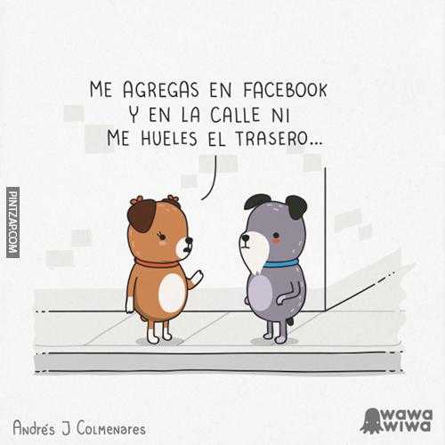 Me agregas en Facebook y en la calle ni me hueles el trasero