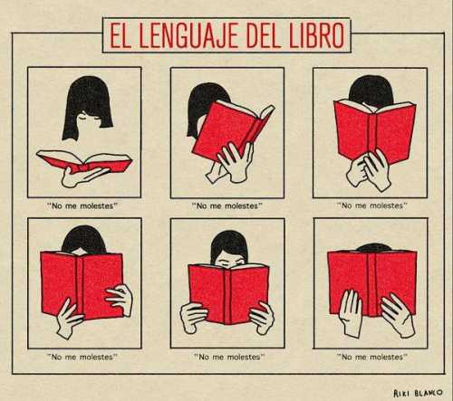 El lenguaje del libro