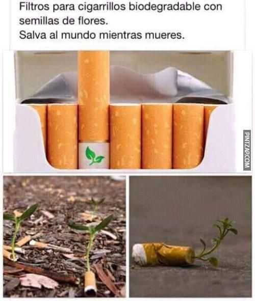 Filtros para cigarrillos biodegradable con semillas de flores