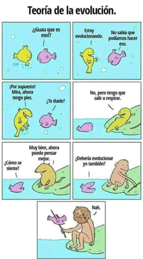 Teoría de la evolución