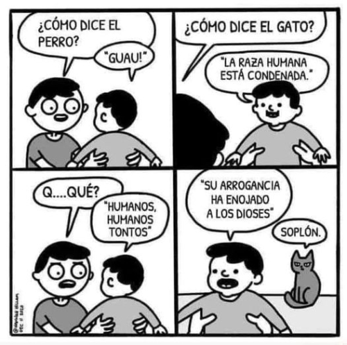 ¿Cómo dice el gato? La raza humana está condenada