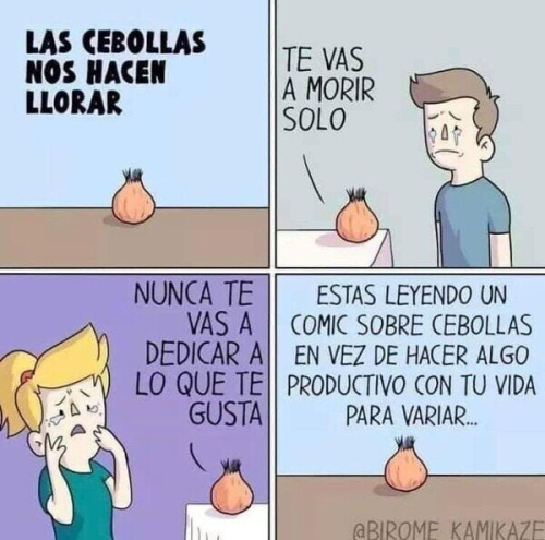 Las cebollas nos hacen llorar