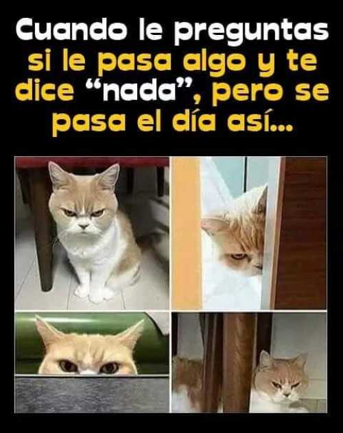 Cuando le preguntas si le pasa algo y te dice nada pero se pasa el día así...