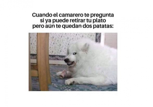 Cuando el camarero te pregunta si ya puede retirar tu plato pero aun te quedan dos patatas