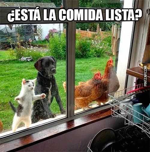 ¿Está la comida lista?