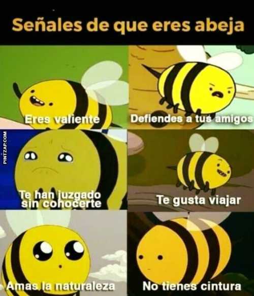 Señales de que eres abeja