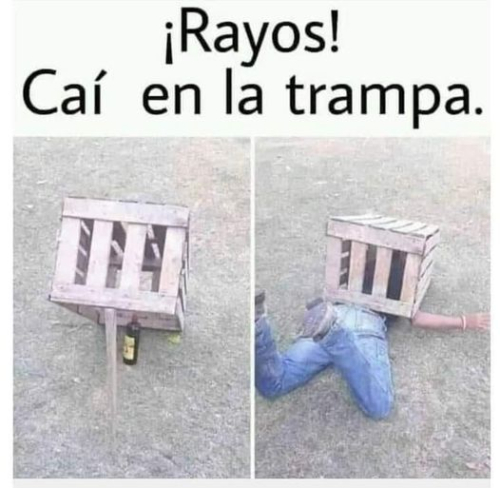 Caí en la trampa