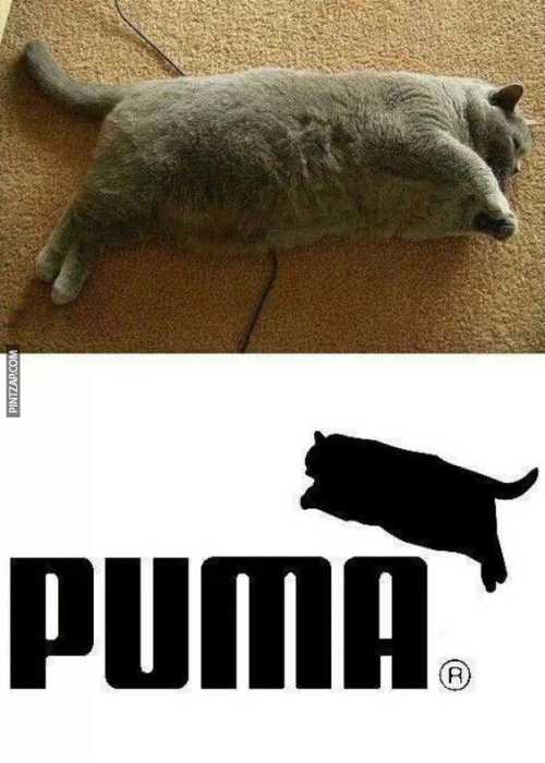 Nuevo logo de Puma