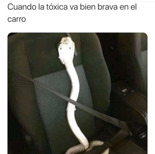 Cuando la tóxica va bien brava en el coche