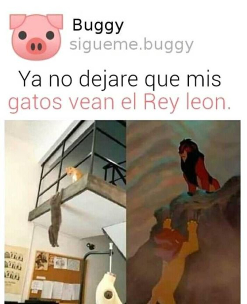 Ya no dejaré que mis gatos vean el rey león