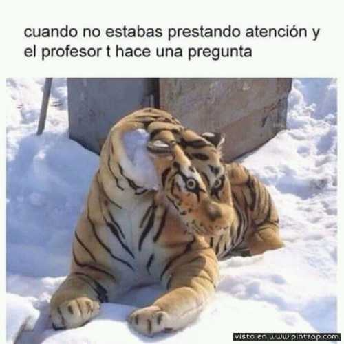 Cuando no estabas prestando atención y el profesor te hace una pregunta