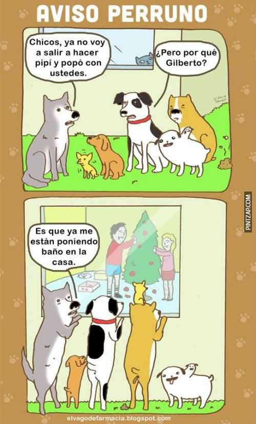 Aviso perruno