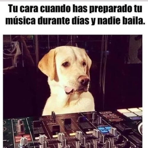 Tu cara cuando has preparado tu música durante días y nadie baila