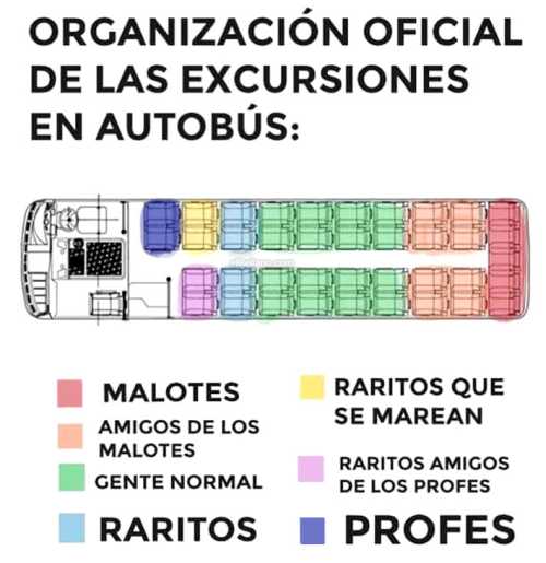 Organización oficial de las excursiones en autobús