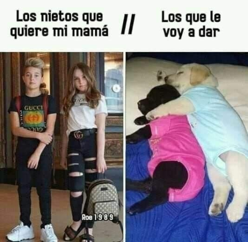 Los nietos que quiere mi mamá