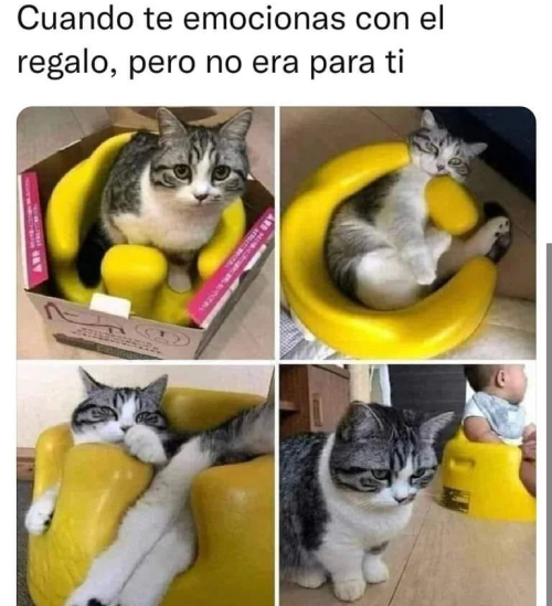 Cuando te emocionas con el regalo pero no era para ti