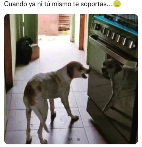 Cuando ya ni tú te soportas