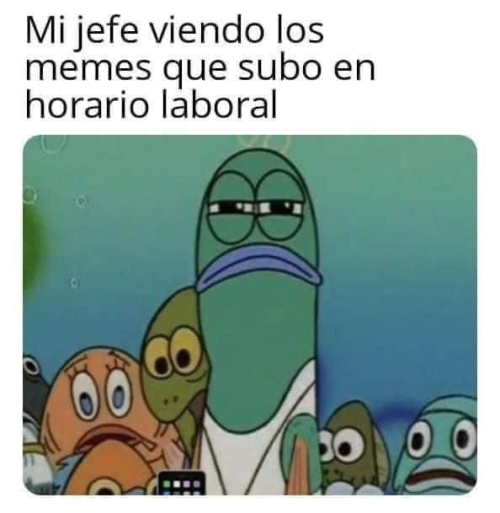 Mi jefe viendo los memes que subo en horario laboral