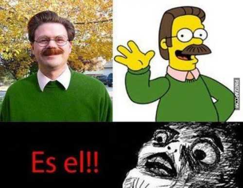 Parecidos razonables Ned Flanders