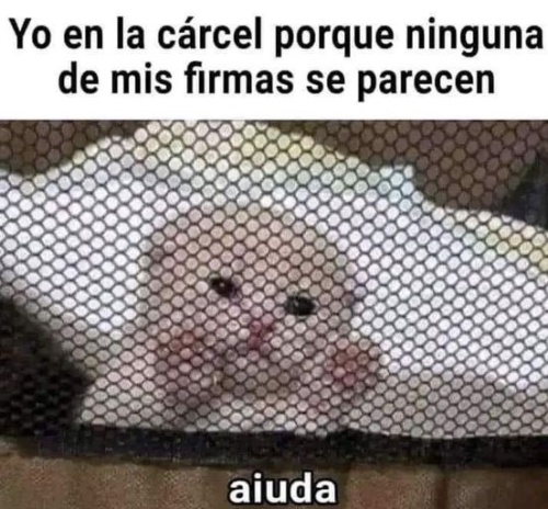 Yo en la cárcel porque ninguna de mis firmas se parecen